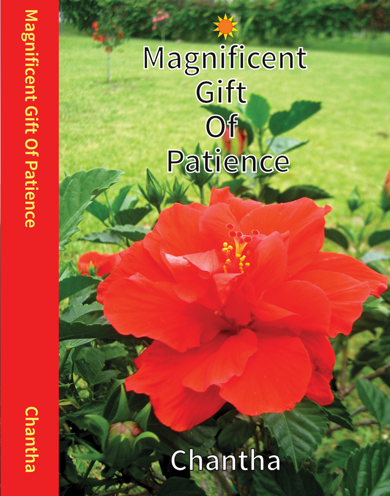 Magnificent Gift Of Patience Form 5