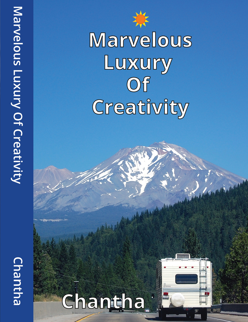 Marvelous Luxury Of Creativity form 8 cover