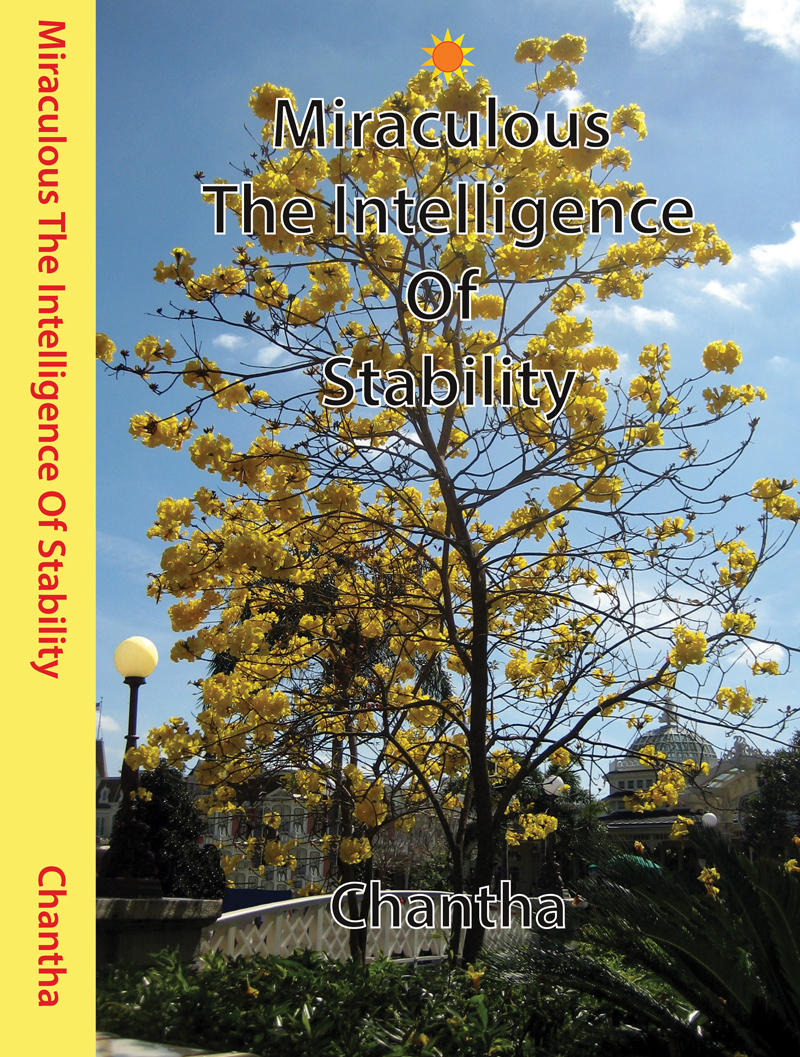 Miraculous The Intelligence Of Stability Form 4